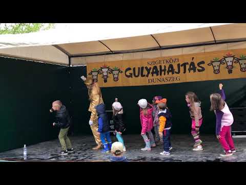 Pantomim műsor gyerekeknek - 2019 Dunaszeg május 4